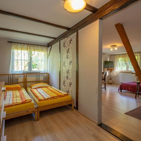 U Robsona Apartman Szklarska Poręba Kültér fotó